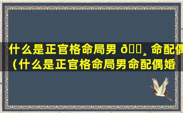 什么是正官格命局男 🕸 命配偶（什么是正官格命局男命配偶婚 🦈 姻）